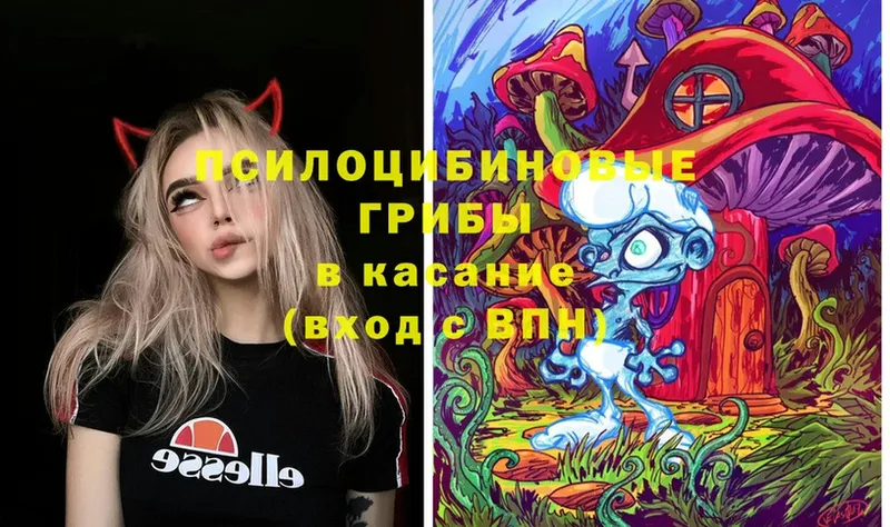 Псилоцибиновые грибы Magic Shrooms  Тверь 