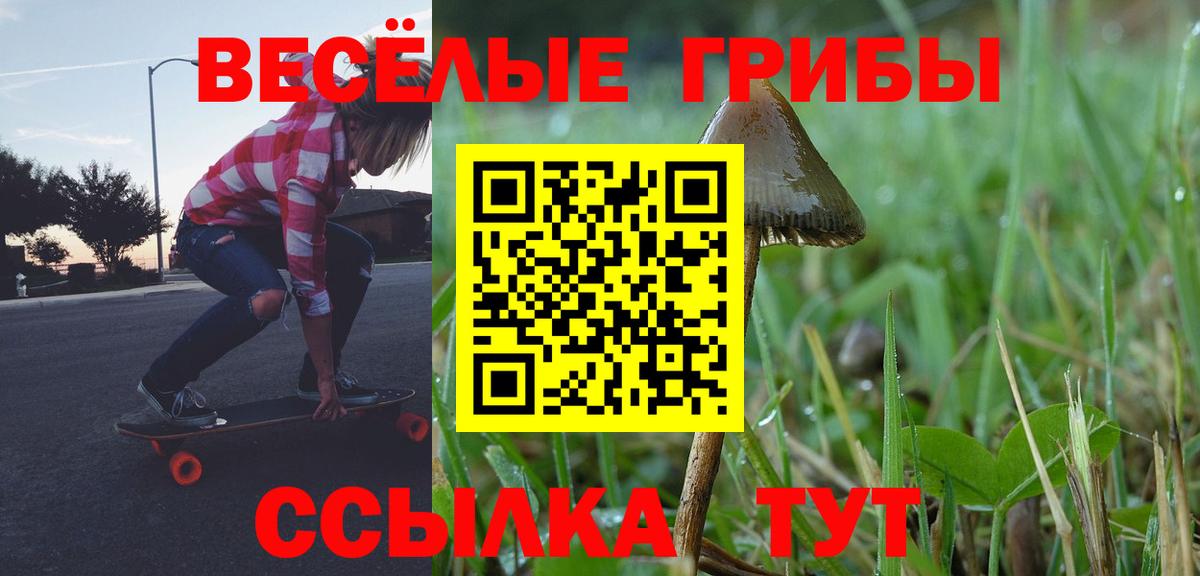 Тверь  Псилоцибиновые грибы Magic Shrooms  Вход с VPN 